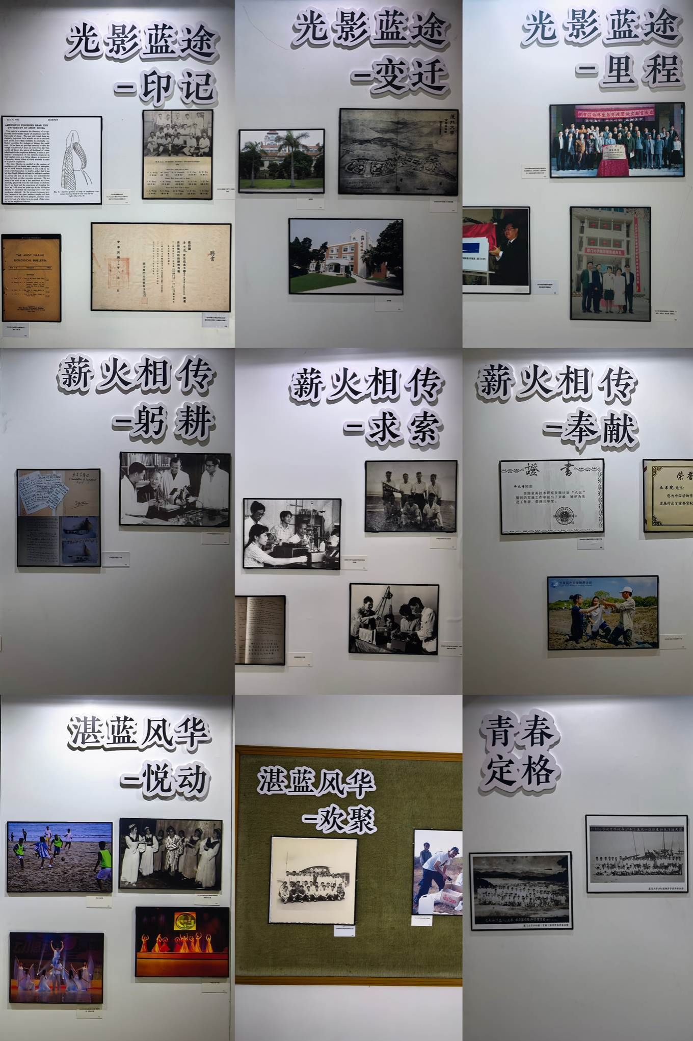 03905204ed408ad747c9622a440b9656